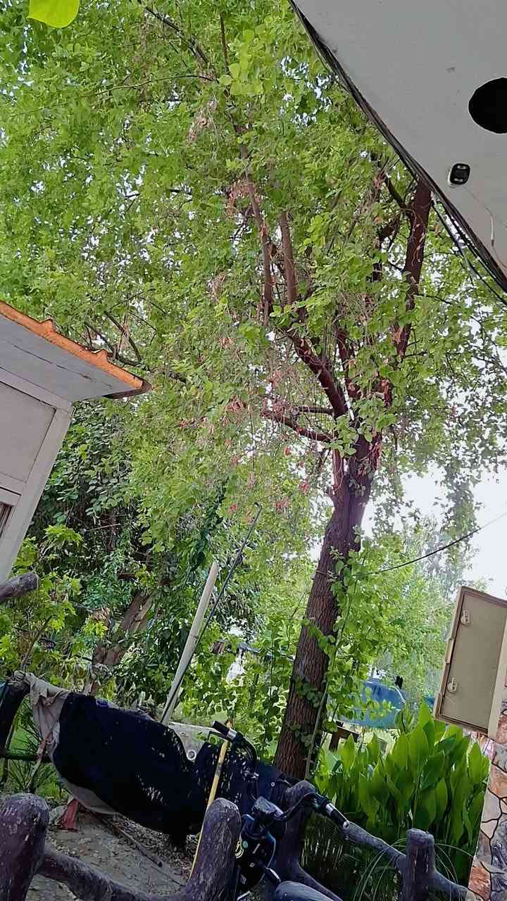 بابل المسيب • مزرعة ١٥٠٠م • سند ٢٥