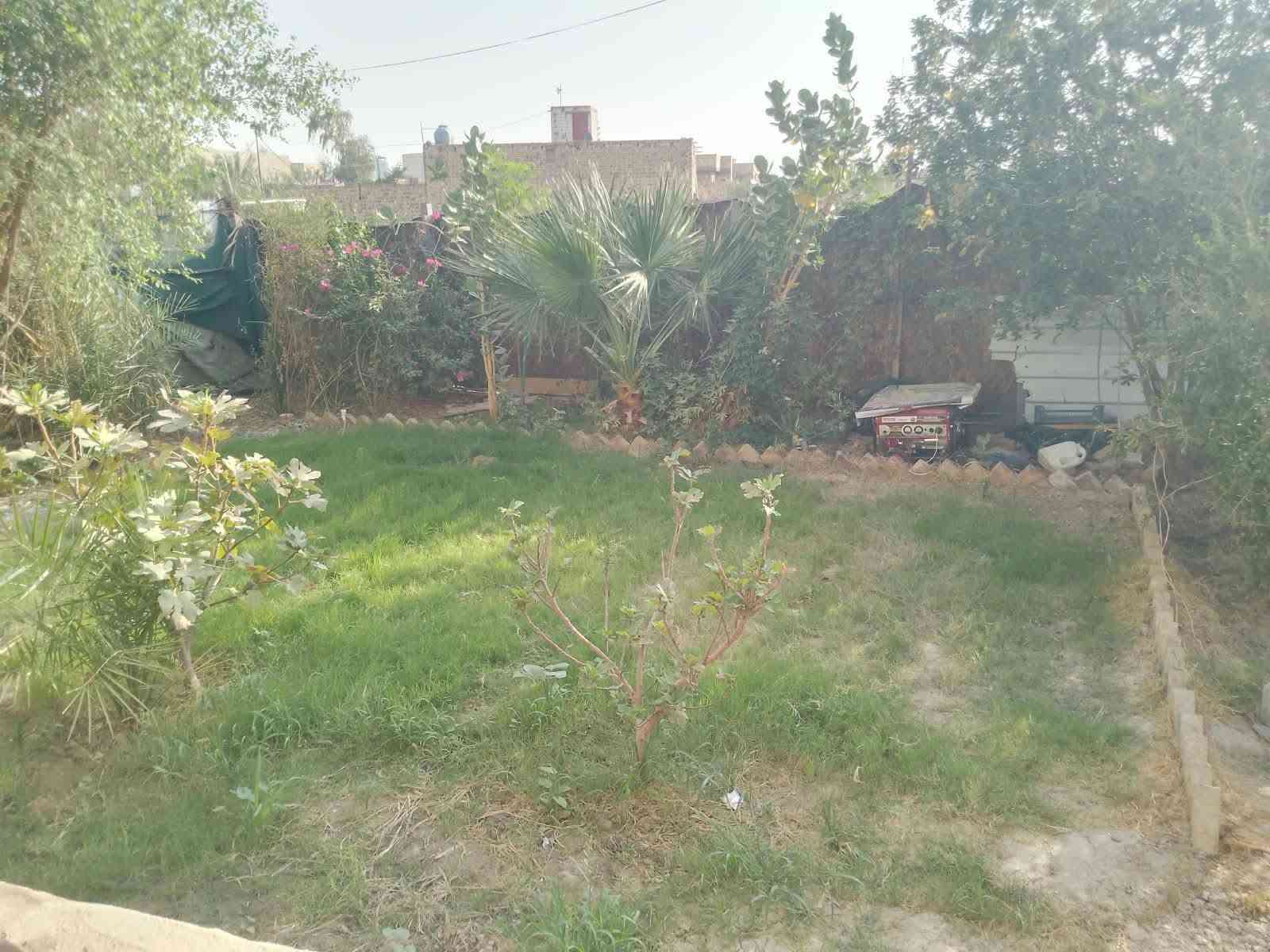 السلام عليكم للبيع بيت طابو زراعي سند 25 مداور المكان حي منصور ع نزلت الشهيد ماهر قرب بيت سلمان الكيم 3غرف وصاله ومطبخ وحمامات الاساس صب كونكريت بناء طابوك الارضيه بورسلاين الصطح عكاده وحديقه البيت ركن المساحه 500 متر *********** بي واتساب
