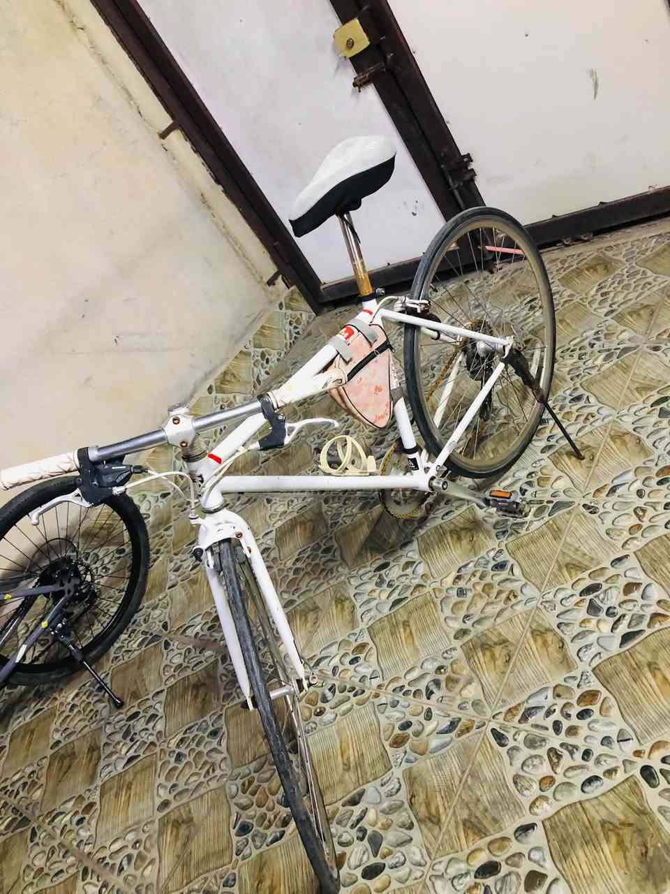 حجم 26 • مورتال C700 • كشن طبي