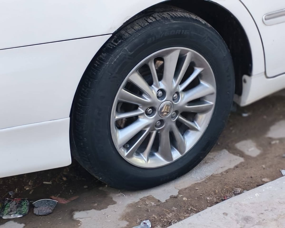 شاهينا • ٢٠٠٦ • رقم بابل