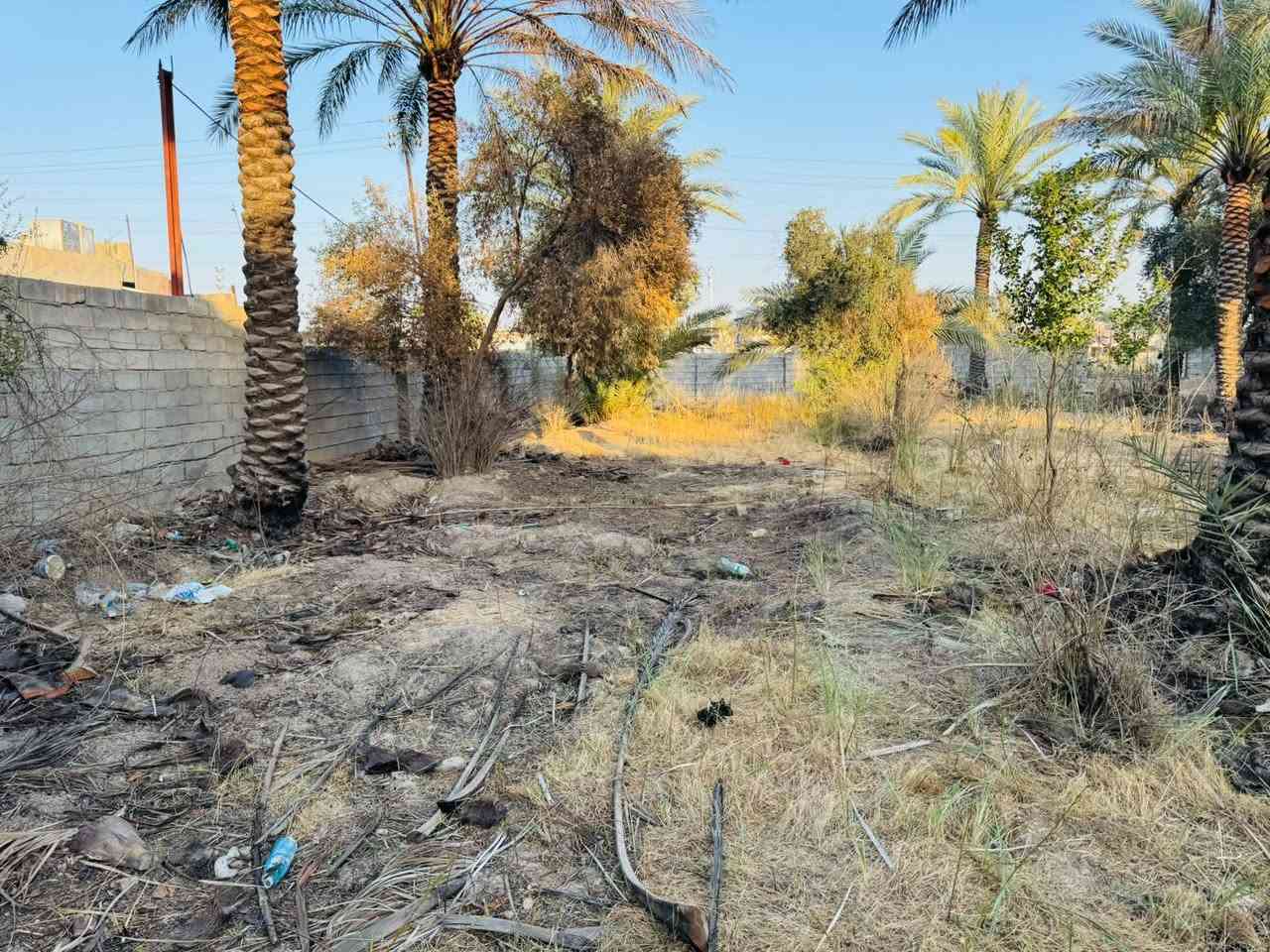 السلام عليكم عندي قطعه ارض واجهتها ١٣ والنزال ٤٠ قطعه تجاري على طريق بغداد الخالص في منطقة الغالبيه للاستفسار *********** أو ***********
