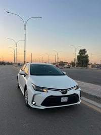 كورلا خليجي • ٢٠٢٤ • السماوة