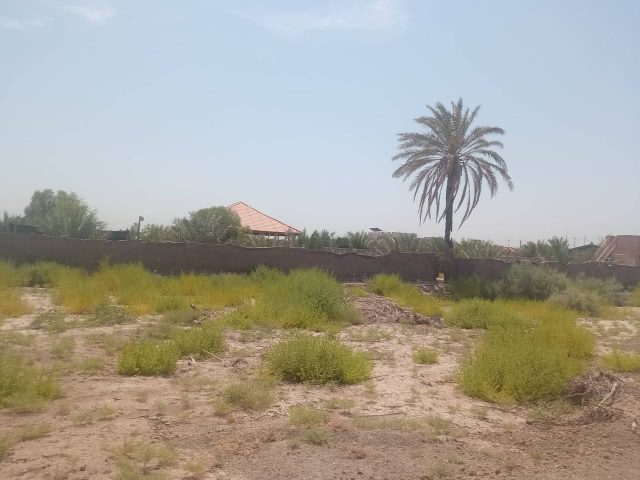 🏡 فرصة مميزة للبيع – قطعة أرض طابو زراعي 25 🌿

📍 الموقع: بزل حجي علي – شارع أبو عرايس📄 نوع السند: طابو زراعي 25📐 المساحة: 1000 م²📏 الواجهة: 27.5 متر📏 النزال: 36.36 متر تقريبًا

✨ مميزات القطعة:✅ موقع مميز وقريب من الشارع الرئيسي✅ مناسبة للسكن أو الاستثمار أو إنشاء مزرعة✅ متوفر ماء السقي✅ متوفر ماء الإسالة✅ الكهرباء متوفرة

💰 السعر: 88 مليون دينار عراقي قابل للتفاوض.

📞 للاستفسار: ***********

🌟 لا تفوّت هذه الفرصة لامتلاك قطعة أرض بموقع مميز وسعر مناسب.
