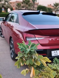 النترة • ٢٠٢٣ • وارد امريكي
