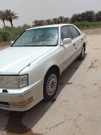 مراوس • رأس الثور • نقل
