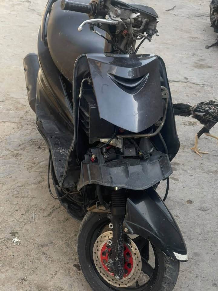 سكنس نثيه • نضيفه • سلف
