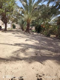 تنظيف • حرث • الرميثه