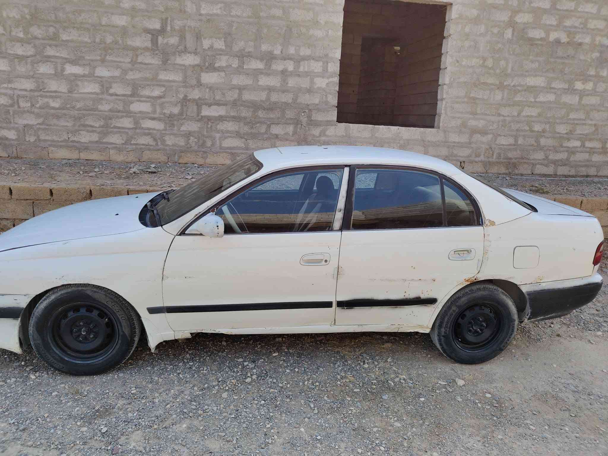 فرخ بطه • كير شرط • كهربائيات شغاله