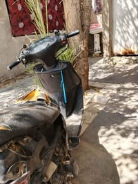 فراشة • سعر خاص