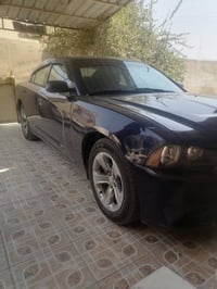 نيلي • ٢٠١٣ • رقم بصره