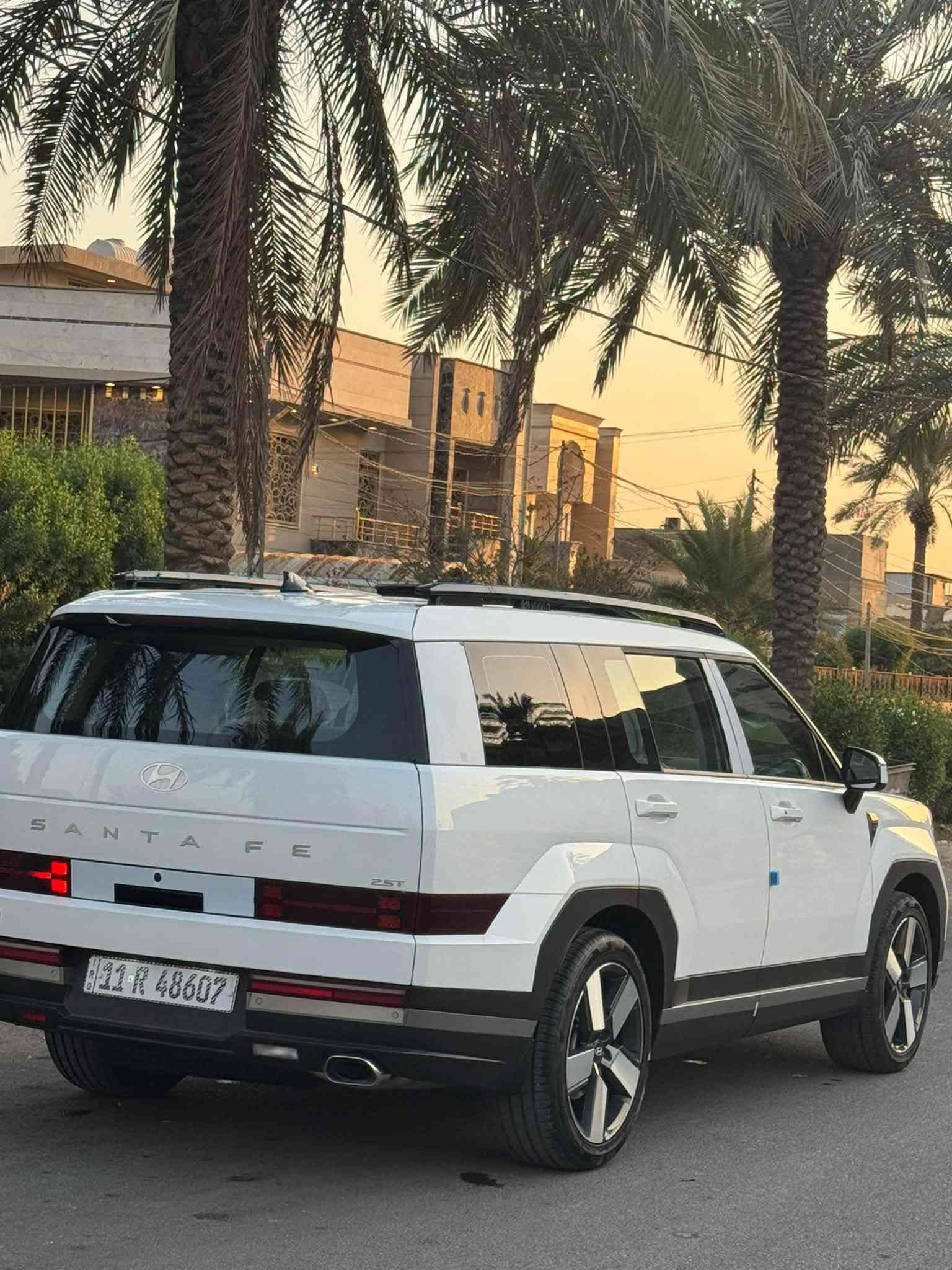 سنتافيا • ٢٠٢٥ • بغداد السيديه