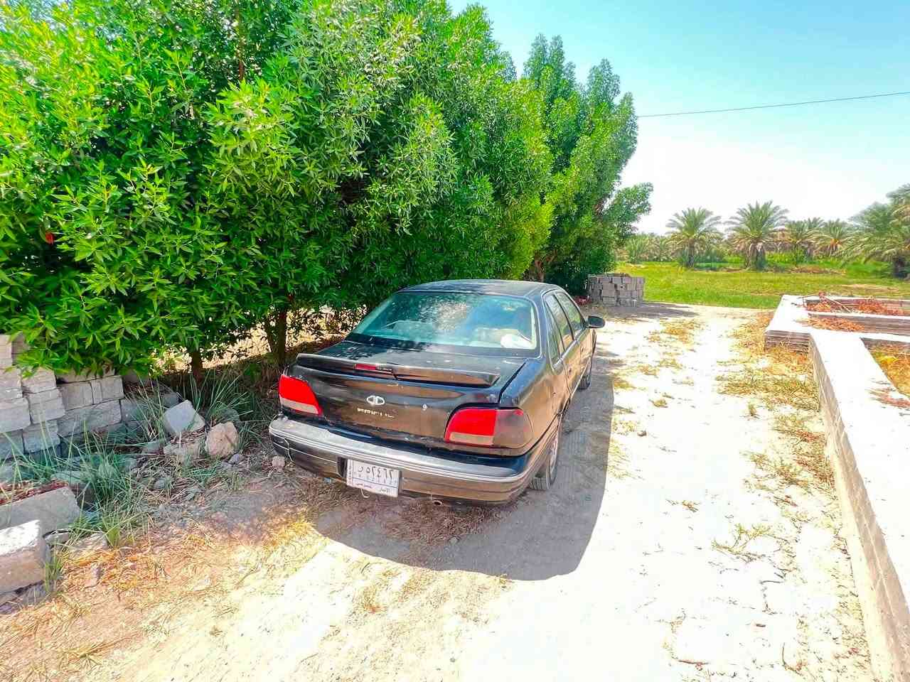 سلام عليكم للبيع 
برنس دايو فراش 
محرك 2000
كير اوتماتيك 
كهربائيات كله شغاله
محرك وكير مكفول 
مكاني الفلوجة 

السعر ٢٧ورقه وبي مجال 
للتواصل ***********
