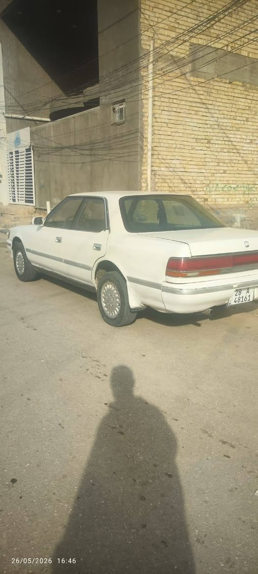 مارك كربلائي شرط كارتون اراوس بكيه بريجو مكاني النجف +9647826765275
