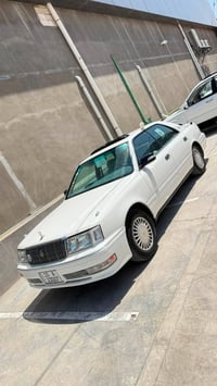 راس ثور مراوس • بملكه • مدفوع كمرك