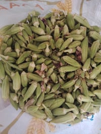 بانية • درجة اولى • واصل للبيت