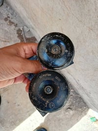 هورنات ياباني • شغالات • درجة أولى