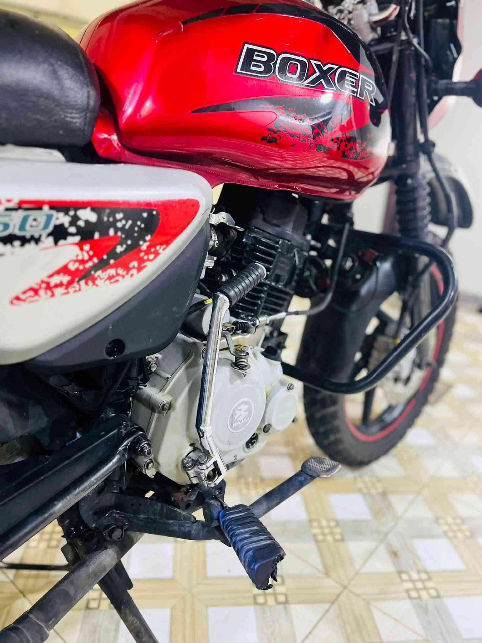 بوكسر جبلي • موديل ٢٢ • محرك اخرس