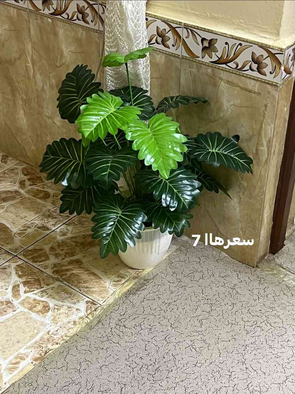 اغراض منزلية • للبيع • متنوع
