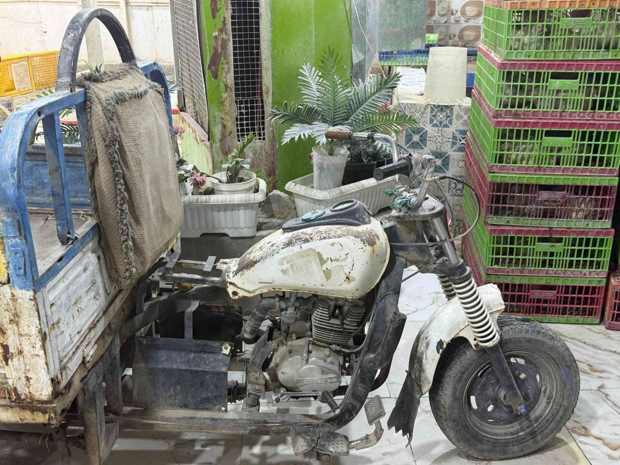 ستوته • مامفتوحه • كلك