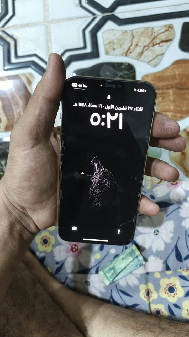 آيفون ١٢ برو ماكس • ٢٥٦ جيجا • بطارية ٧٦٪