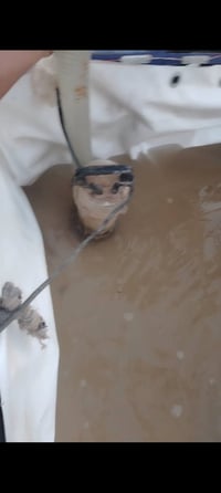 غطاس • ٢ إنج • بابل القاسم الطليعه