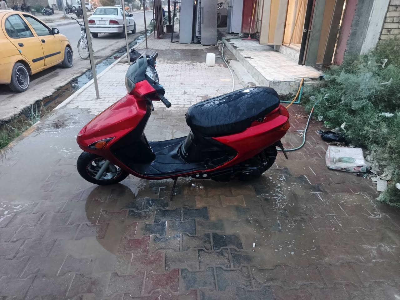 فراشه • نضيفه • عوزه ضو