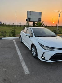 كورلا خليجي • ٢٠٢٥ • رقم بغداد