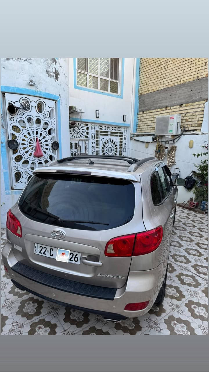 سنتافي ٢٠٠٧ • وارد كندي • ٧ راكب