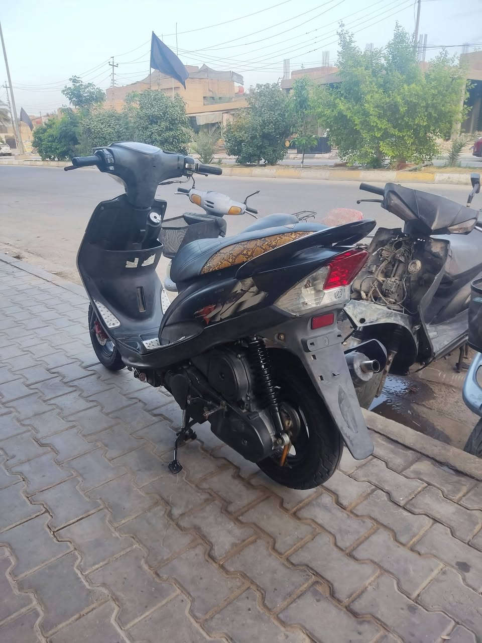 ماكس عدلة • معدل ١٢٠ • بلادية
