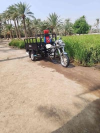 ستوته • موديل ٢١ • كفاله عامه