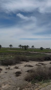 دونم للبيع  حسب الطلب منطقة شيخ عامر البوفهد طابو زراعي سند 25 الخدمات...