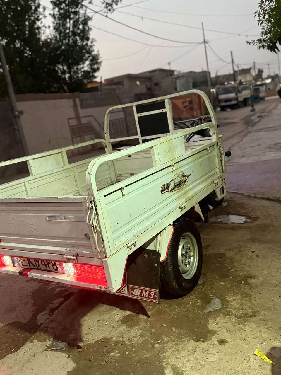 ستوته • موديل ١٩ • أوراق شمالية