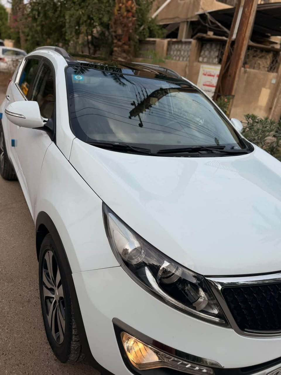 سبورتج ٢٠١٤ • بدون صبغ • رقم بغداد