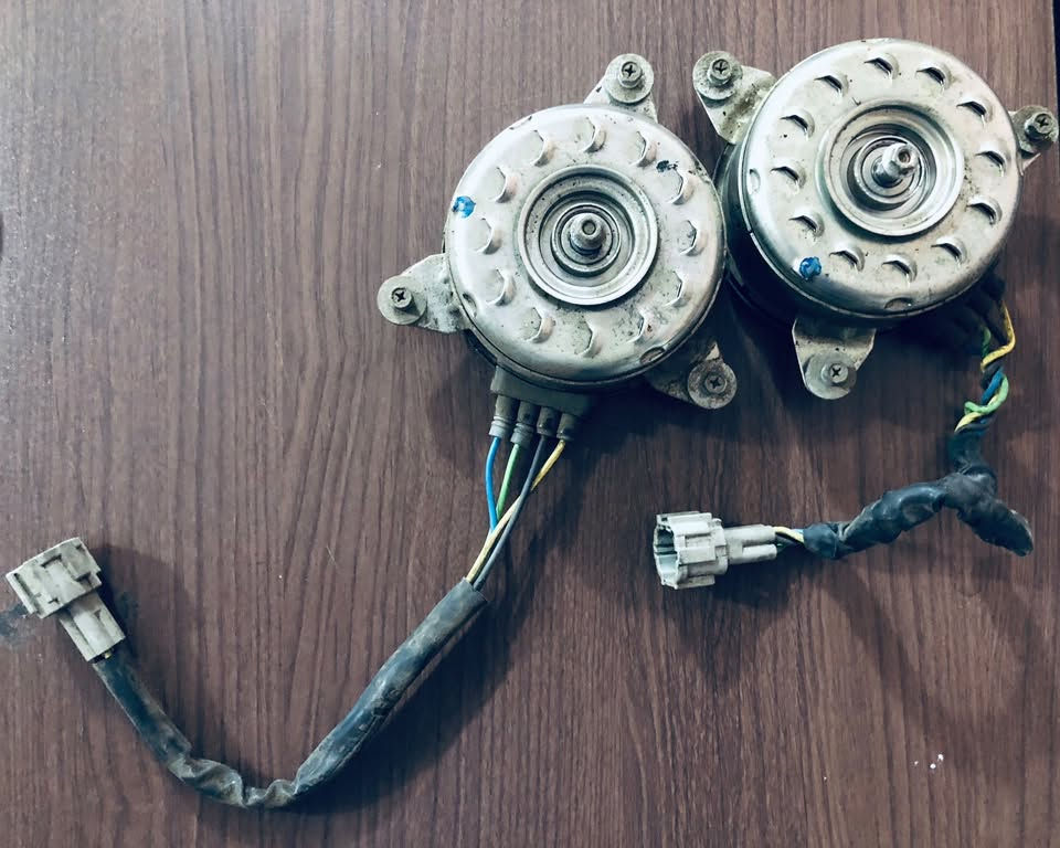 نيسان التيما • ٢٠٢٢ • اصلية
