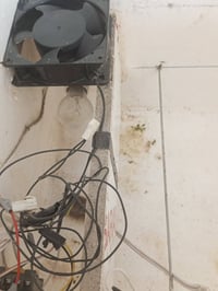 فقاسة • فلين • اوتوماتيك