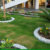 بابل الحله • زراعة • ديكور حدائق