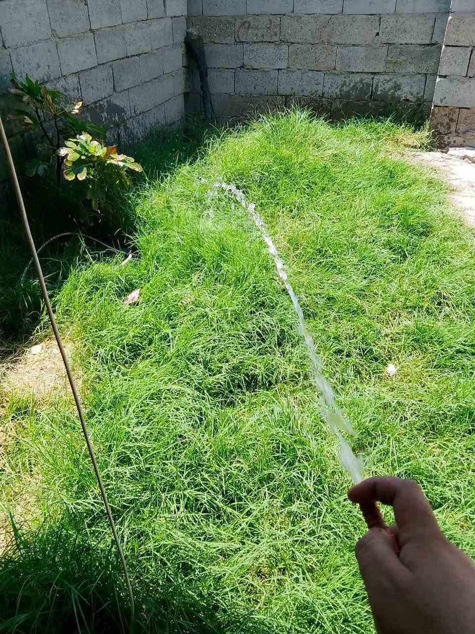 سلام عليكم بيت تجاوز للبيع شارع كهرباء فرع صوره مال صدرين بي ستقبال طول6وعرض 4 بي غرفه حمام وصاله تصلح غرفه بيع مستعجل سعر 7وبي مجال شي قليل مساحه150مربع تواصل***********
