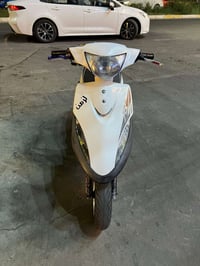 ماكس عدله • ٢٠٠٨ • بوشه ٤٩
