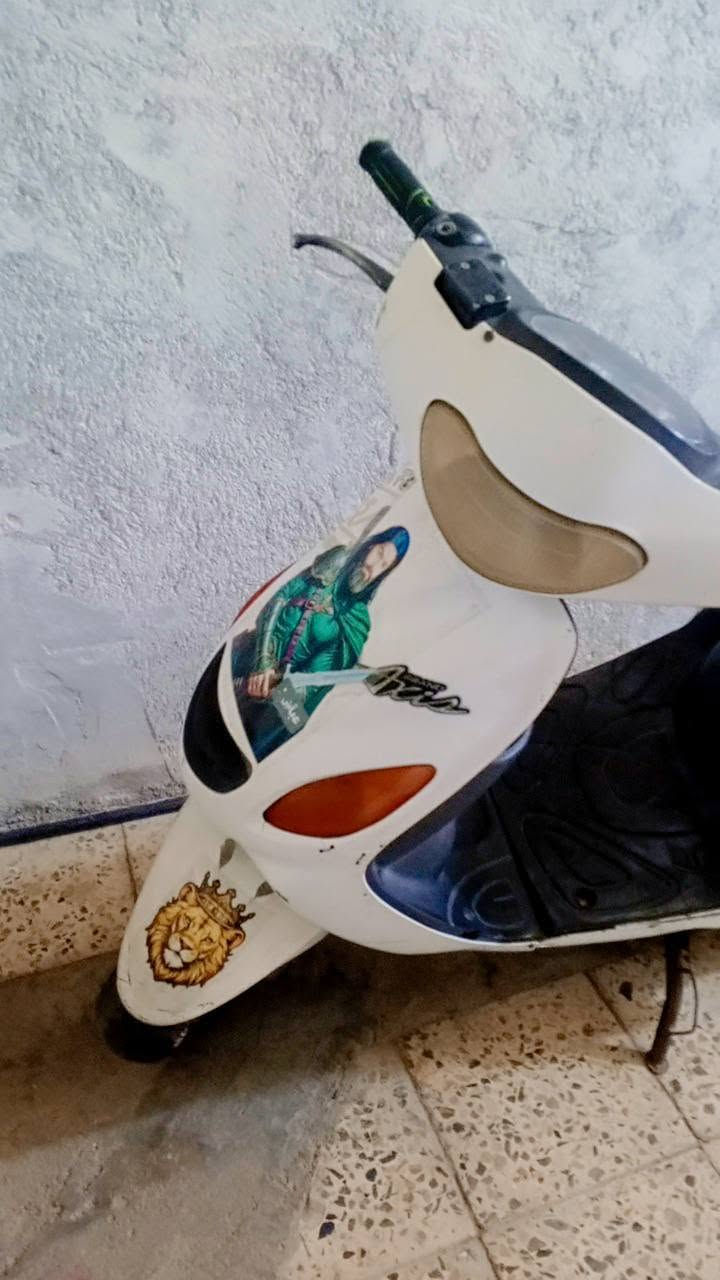 دولفين • نضيفة • شرط الفحص