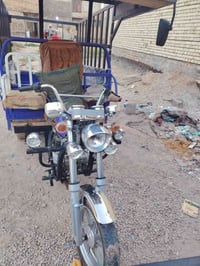ستوته • موديل ١٩ • مكفوله
