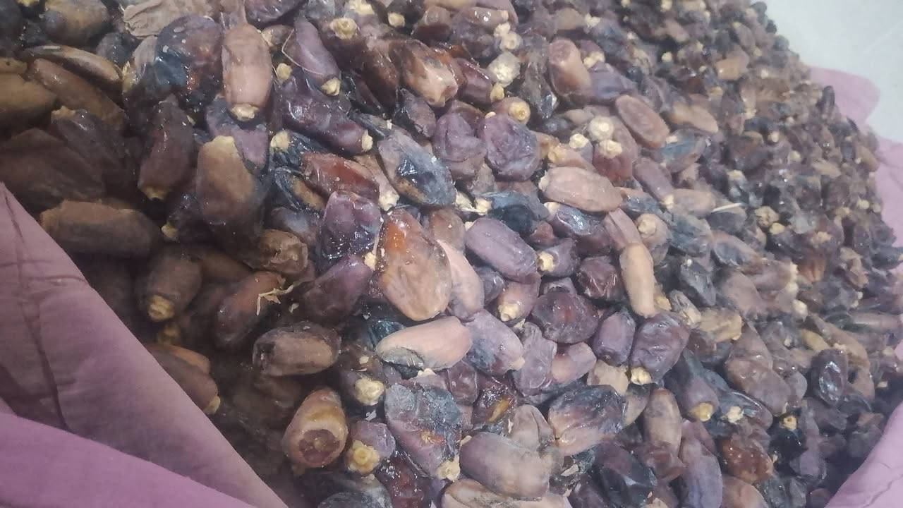 لين • صلب