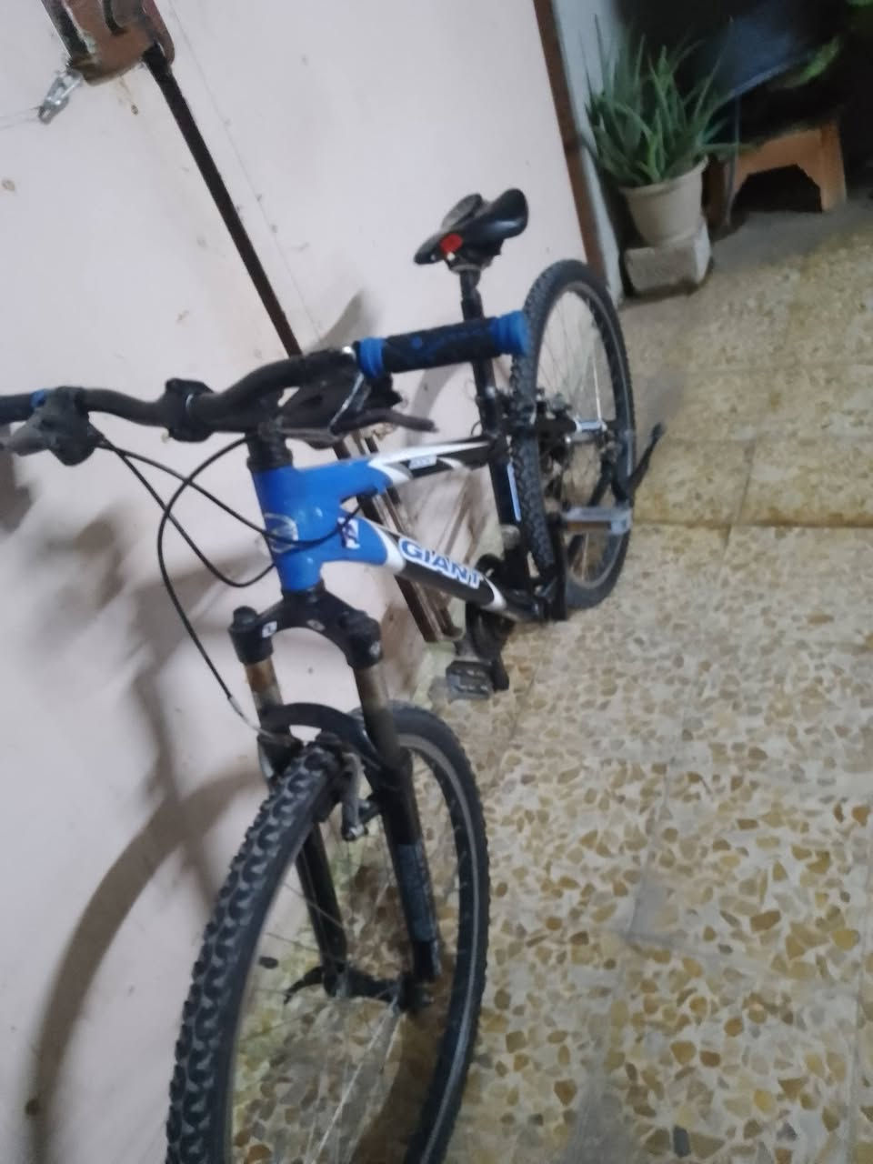 جينت • بايسكل رياضي • دبل عاطل