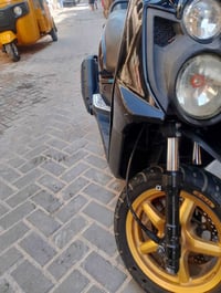 سكنس جبلي • ٦ اشهر • نازله