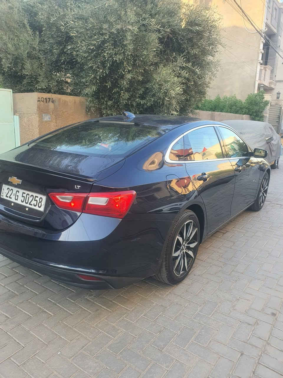 ماليبو • ٢٠١٨ • كلين مكفولة