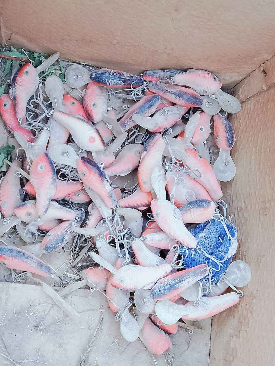 سلام عليكم 
عندي سنارات للبيع 

ملاحظه السنارات الموجودة عندي ضوئيه بس اتخلي باتري بيهن ويشتغلن

عدد السنارات 60 سناره 

مكاني نجف الاشرف حي المكرمه 

سعر السناره الوحده 5000 دينار  وإذا جمله احسبلكم الوحده 3000 دينار 

***********
