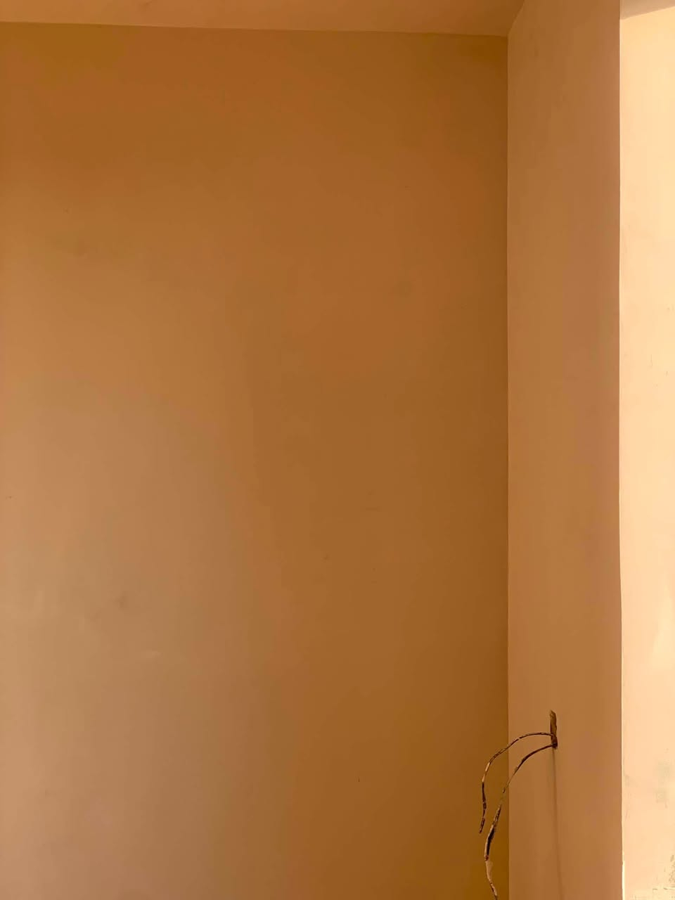 اسلام عليكم كادر كامل نشتغل جص فني كرسته وعمل يعني اجص علينة احنة انجيبة ونشتغلة داخل بغداد ***********
