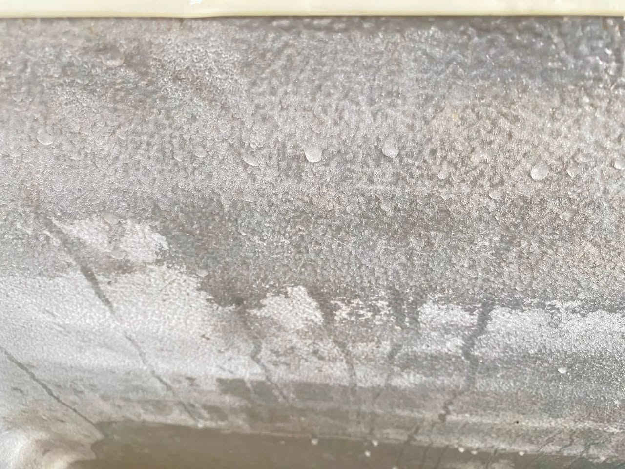 مجمدة من الاوليات الحجم الكبير
تجميد خير من الله كما موضح بالصور 
السعر 150 وبيها مجال بسيط
للتواصل ***********
