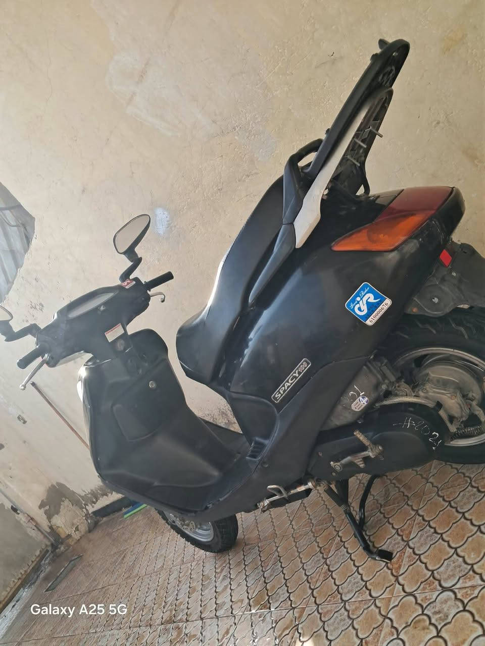 سبيسي • ياباني • بلاديه