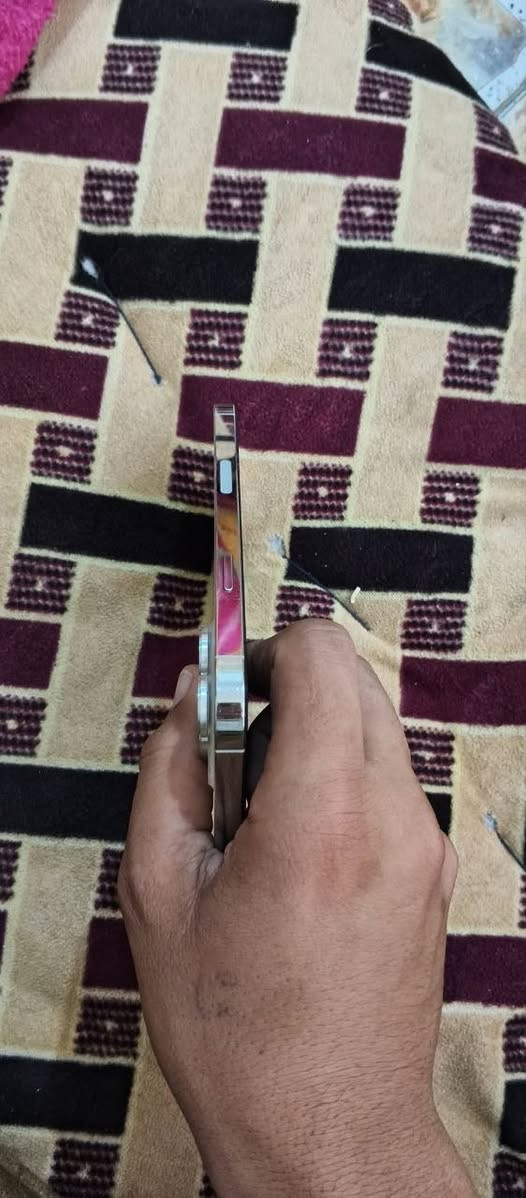 آيفون 13 برو ماكس نموذج M-
نظافة فوول 
ذاكرة 512* لون
أبيض مميز + بطارية-80
الجهاز ماداخل صيانه جهاز بيت 
الجهاز ما مفتوح شرط الفحص حاسبة ما بي نقص  
معروض ب825  وبيه مجال 
مكاني حله 

***********
