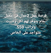 عمال • معمل جام • أكل ومبيت